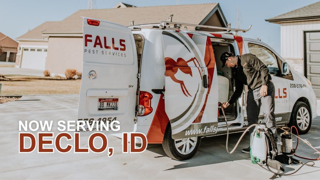 Pest Control in Declo, ID