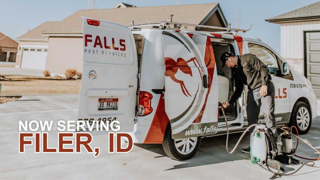 Pest Control in Filer, ID