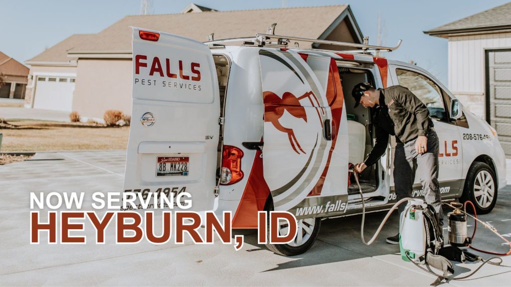 Pest Control in Heyburn, ID