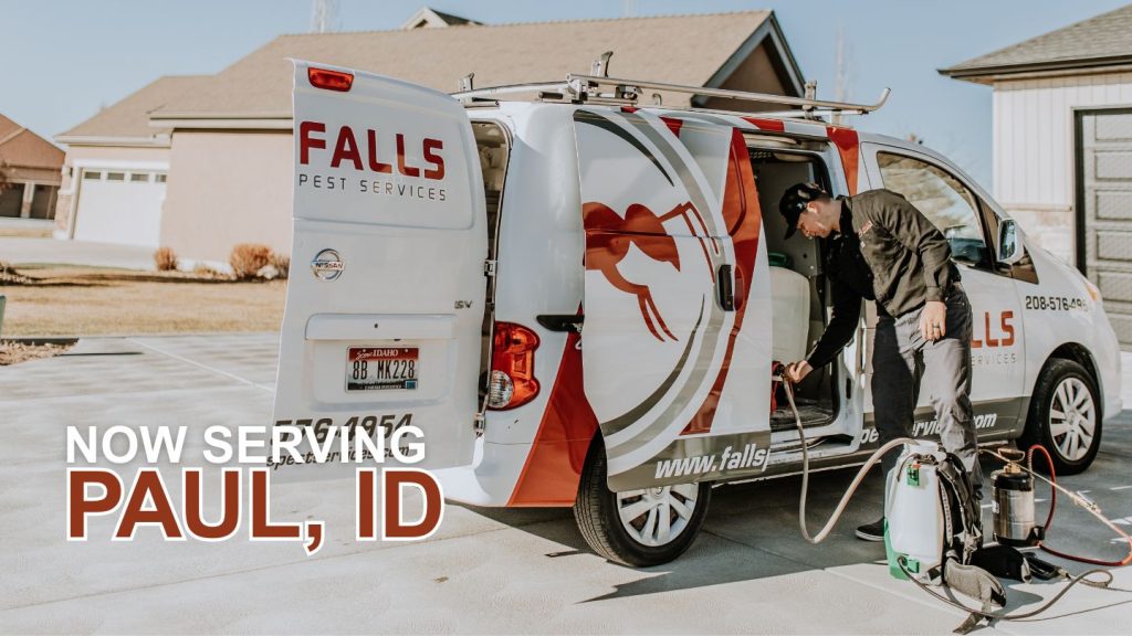 Pest Control in Paul, ID