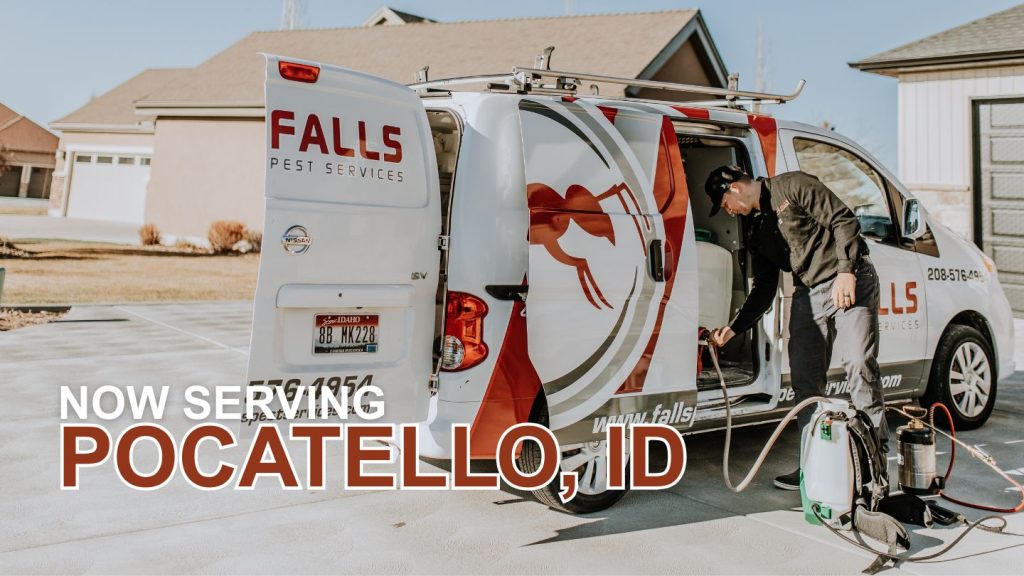 Pest Control in Pocatello, ID