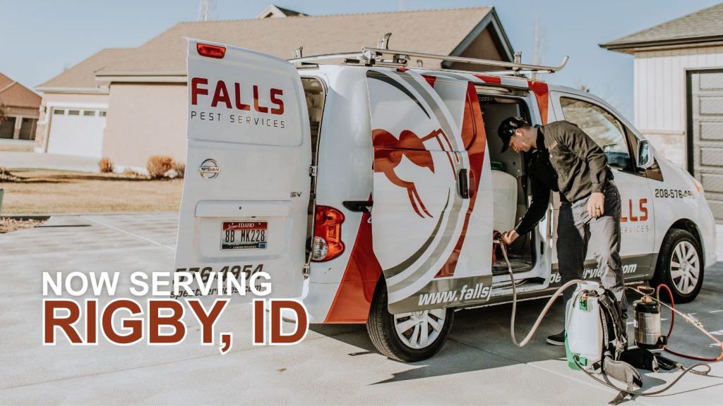 Pest Control in Rigby, ID