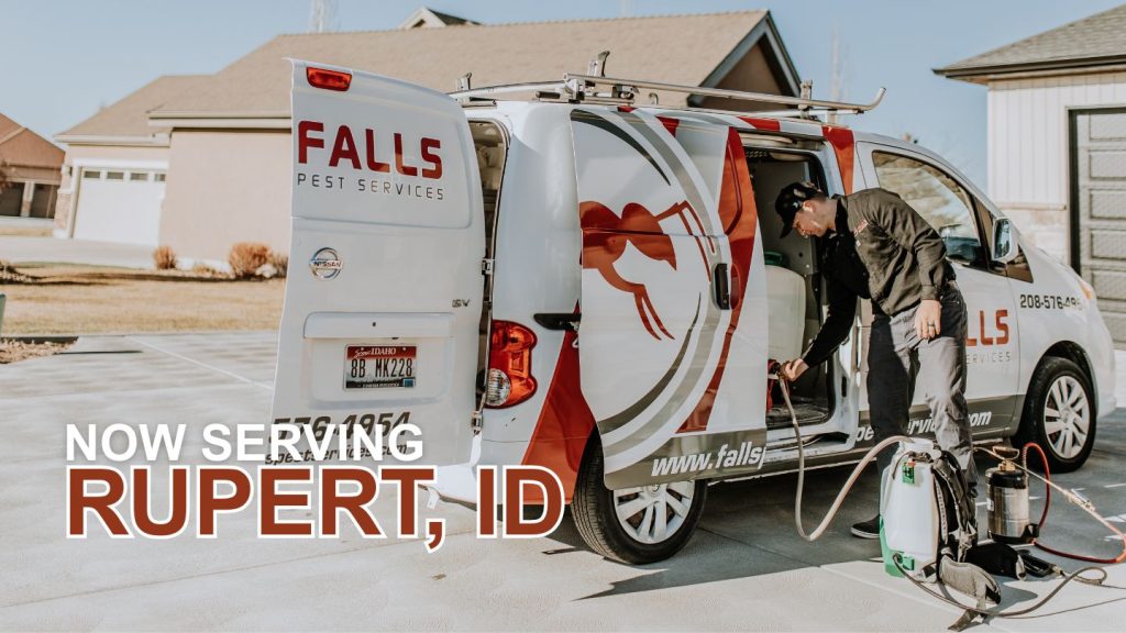 Pest Control in Rupert, ID