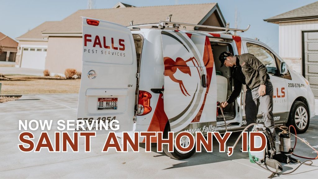 Pest Control in Saint Anthony, ID