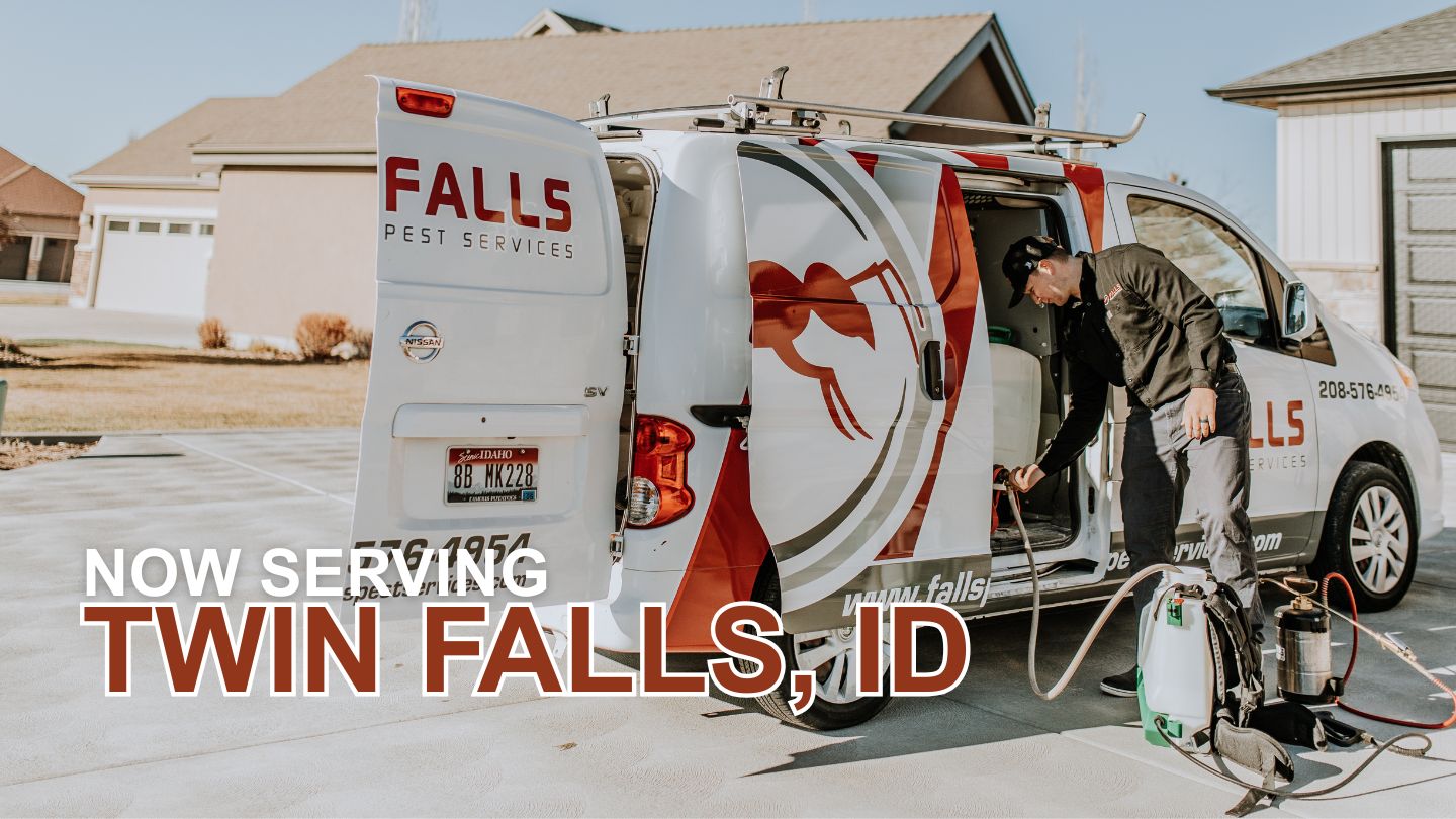 Pest Control in Twin Falls, ID | No Contracts, Local Experts