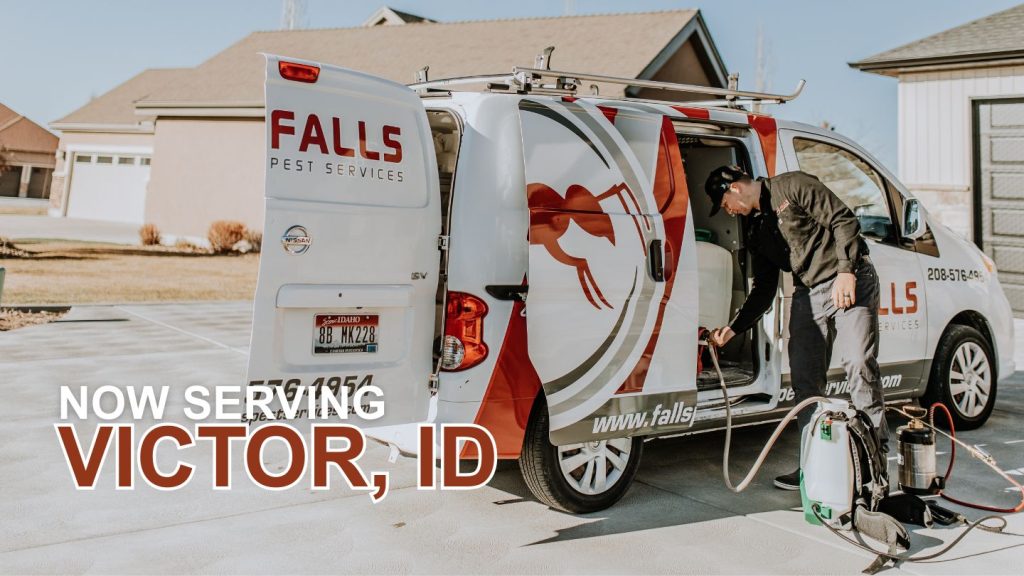 Pest Control in Victor, ID