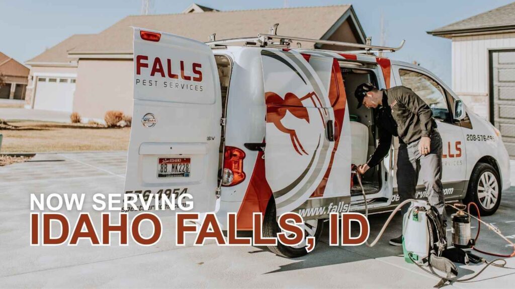 pest control idaho falls